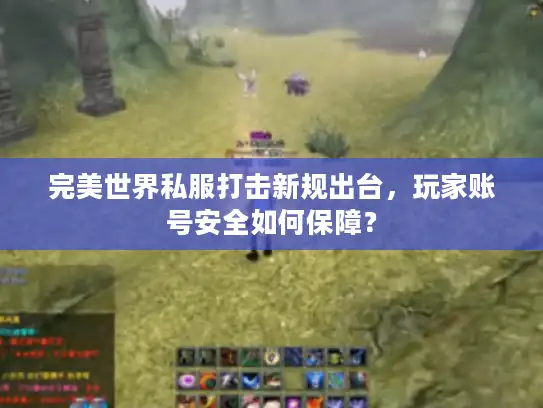 完美世界私服打击新规出台，玩家账号安全如何保障？