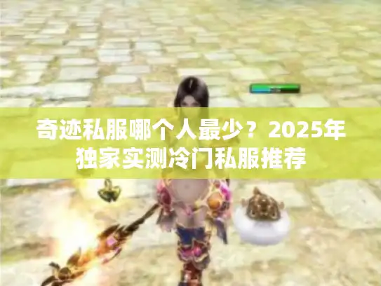 奇迹私服哪个人最少？2025年独家实测冷门私服推荐