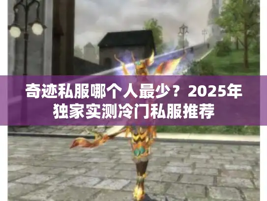 奇迹私服哪个人最少？2025年独家实测冷门私服推荐