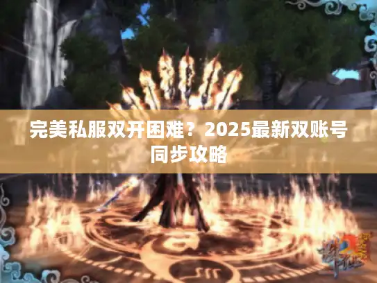 完美私服双开困难？2025最新双账号同步攻略