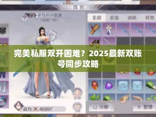 完美私服双开困难？2025最新双账号同步攻略