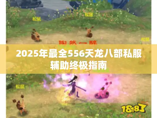 2025年最全556天龙八部私服辅助终极指南