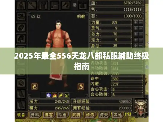 2025年最全556天龙八部私服辅助终极指南