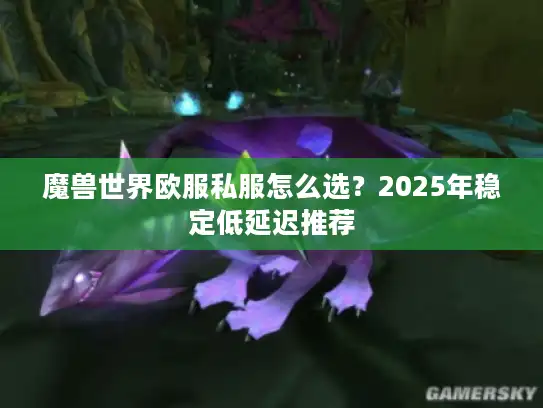 魔兽世界欧服私服怎么选？2025年稳定低延迟推荐