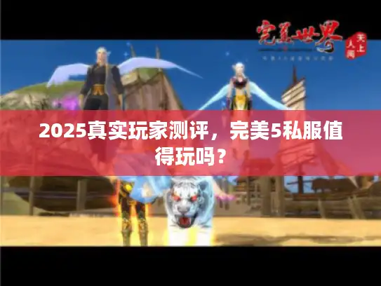 2025真实玩家测评，完美5私服值得玩吗？