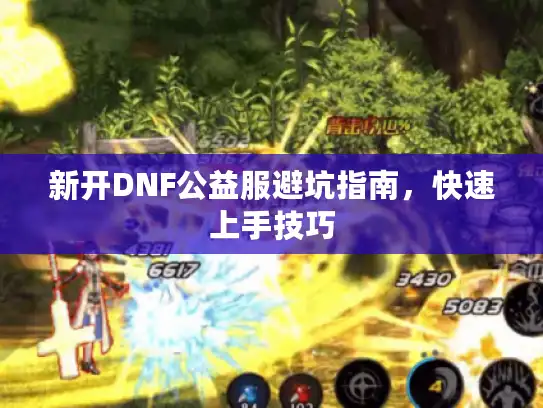 新开DNF公益服避坑指南，快速上手技巧
