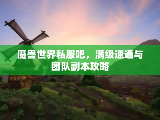 魔兽世界私服吧，满级速通与团队副本攻略