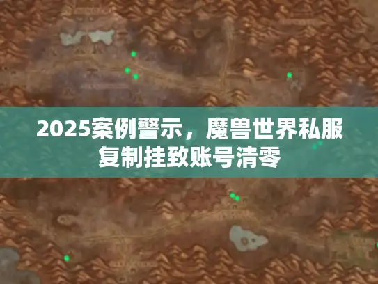 2025案例警示，魔兽世界私服复制挂致账号清零