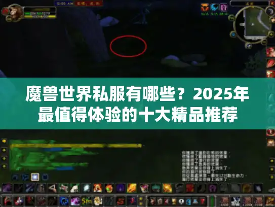 魔兽世界私服有哪些?2025年最值得体验的十大精品推荐 魔兽世界私服有哪些?2025年最值得体验的十大精品推荐
