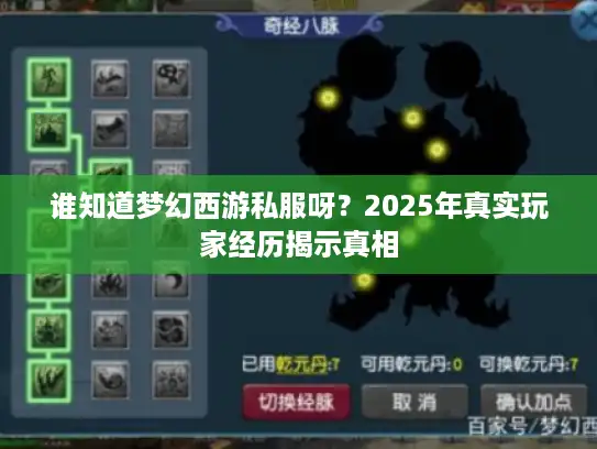 谁知道梦幻西游私服呀？2025年真实玩家经历揭示真相