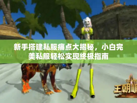 新手搭建私服痛点大揭秘，小白完美私服轻松实现终极指南