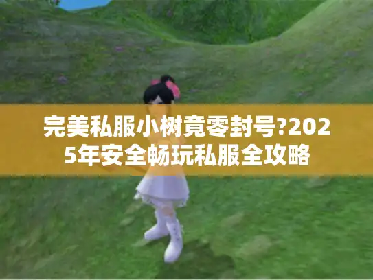 完美私服小树竟零封号?2025年安全畅玩私服全攻略