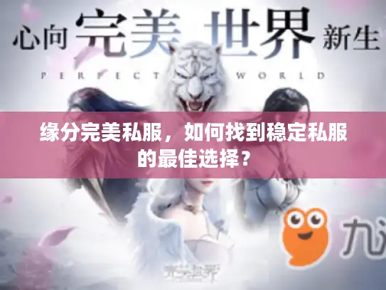 缘分完美私服，如何找到稳定私服的最佳选择？