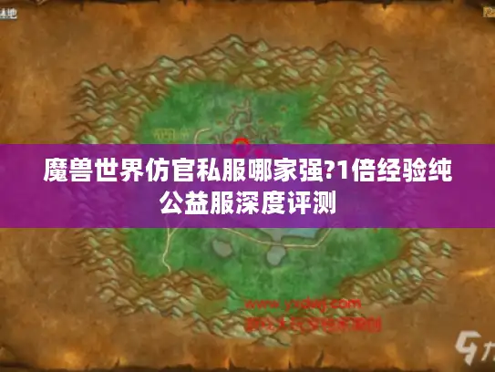 魔兽世界仿官私服哪家强?1倍经验纯公益服深度评测