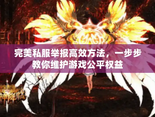 完美私服举报高效方法,一步步教你维护游戏公平权益 完美私服举报高效方法,一步步教你维护游戏公平权益