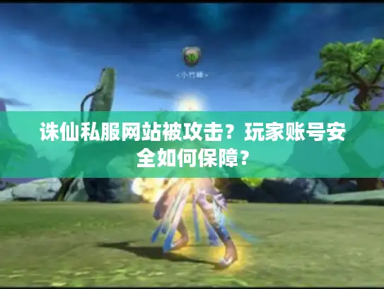 诛仙私服网站被攻击？玩家账号安全如何保障？