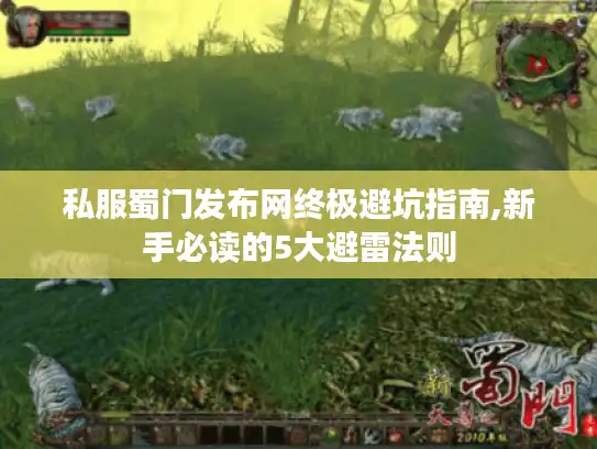 私服蜀门发布网终极避坑指南,新手必读的5大避雷法则