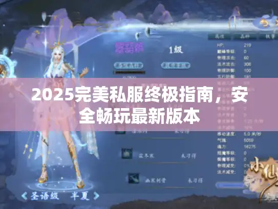 2025完美私服终极指南，安全畅玩最新版本