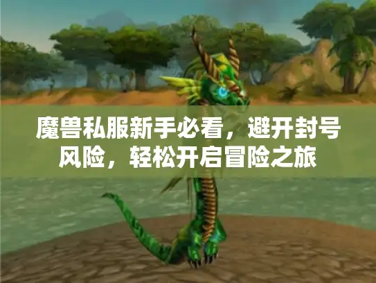 魔兽私服新手必看，避开封号风险，轻松开启冒险之旅