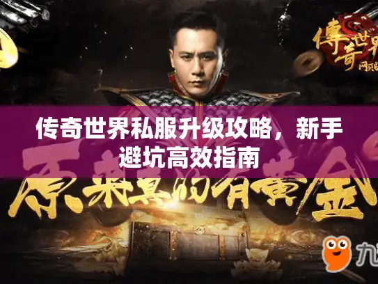 传奇世界私服升级攻略，新手避坑高效指南