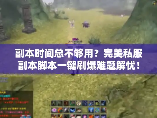 副本时间总不够用？完美私服副本脚本一键刷爆难题解忧！