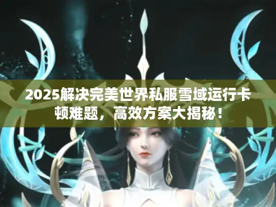 2025解决完美世界私服雪域运行卡顿难题，高效方案大揭秘！