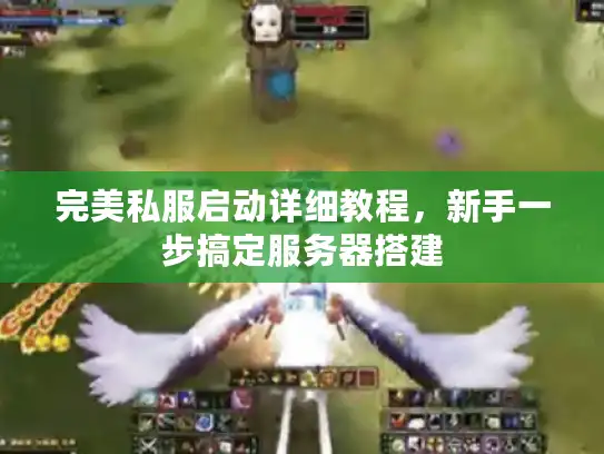 完美私服启动详细教程，新手一步搞定服务器搭建
