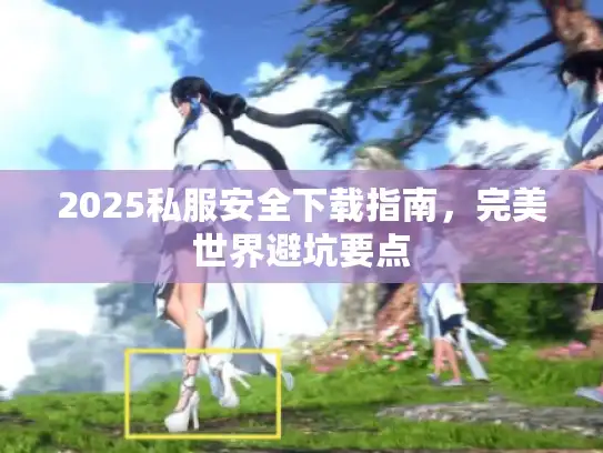2025私服安全下载指南，完美世界避坑要点