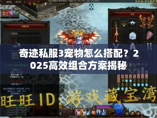 奇迹私服3宠物怎么搭配？2025高效组合方案揭秘