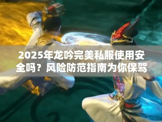 2025年龙吟完美私服使用安全吗？风险防范指南为你保驾护航