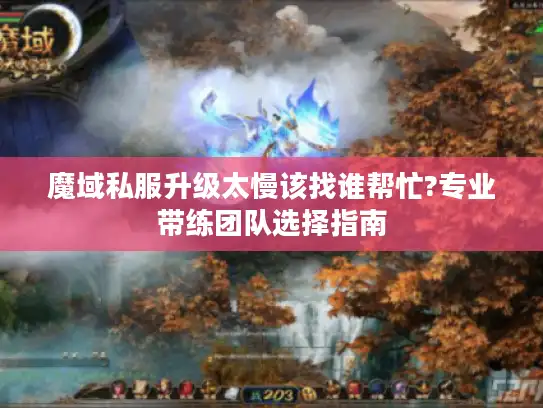 魔域私服升级太慢该找谁帮忙?专业带练团队选择指南