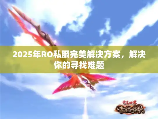 2025年RO私服完美解决方案，解决你的寻找难题