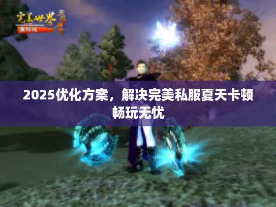 2025优化方案,解决完美私服夏天卡顿畅玩无忧 2025优化方案,解决完美私服夏天卡顿畅玩无忧