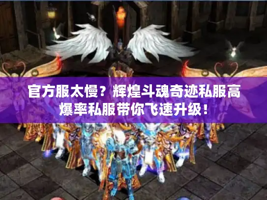 官方服太慢？辉煌斗魂奇迹私服高爆率私服带你飞速升级！