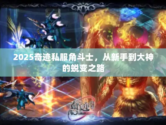2025奇迹私服角斗士，从新手到大神的蜕变之路