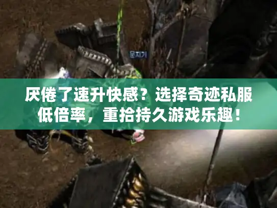 厌倦了速升快感？选择奇迹私服低倍率，重拾持久游戏乐趣！