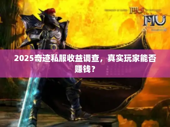 2025奇迹私服收益调查,真实玩家能否赚钱? 2025奇迹私服收益调查,真实玩家能否赚钱?