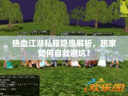 热血江湖私服隐患解析，玩家如何自救避坑？