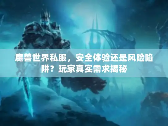 魔兽世界私服，安全体验还是风险陷阱？玩家真实需求揭秘