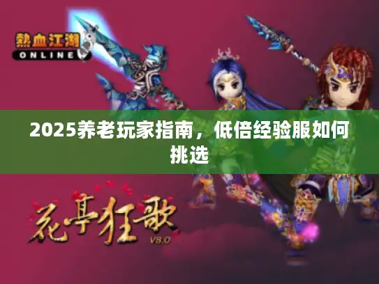 2025养老玩家指南，低倍经验服如何挑选