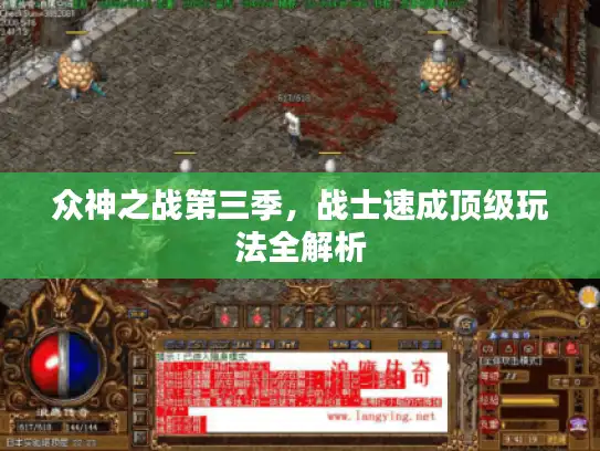 众神之战第三季，战士速成顶级玩法全解析