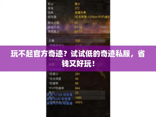 玩不起官方奇迹？试试低的奇迹私服，省钱又好玩！