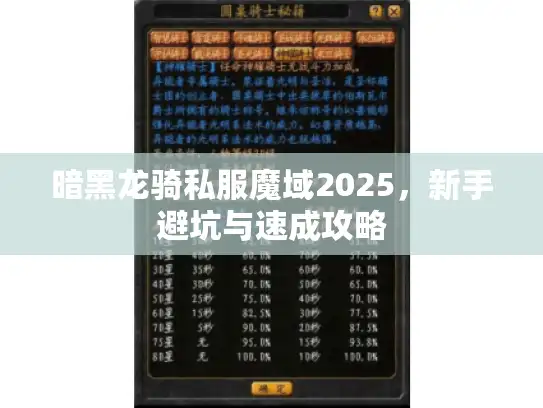 暗黑龙骑私服魔域2025,新手避坑与速成攻略 暗黑龙骑私服魔域2025,新手避坑与速成攻略