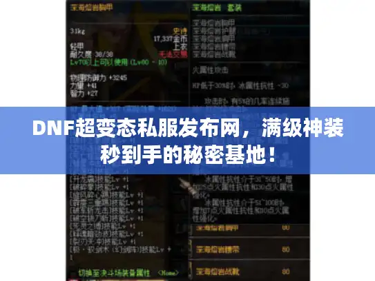 DNF超变态私服发布网，满级神装秒到手的秘密基地！