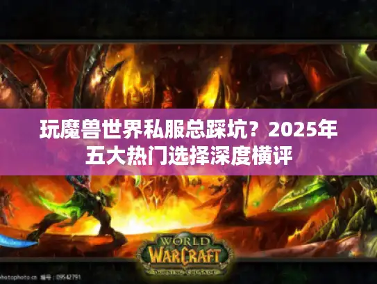 玩魔兽世界私服总踩坑？2025年五大热门选择深度横评