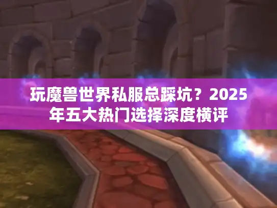 玩魔兽世界私服总踩坑？2025年五大热门选择深度横评