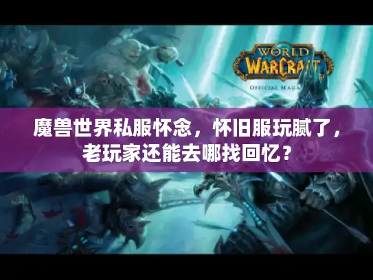 魔兽世界私服怀念，怀旧服玩腻了，老玩家还能去哪找回忆？