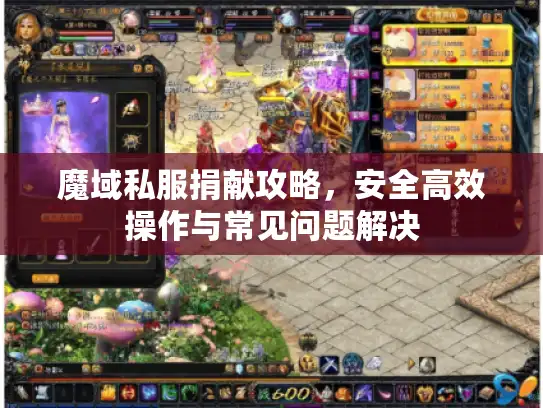魔域私服捐献攻略，安全高效操作与常见问题解决
