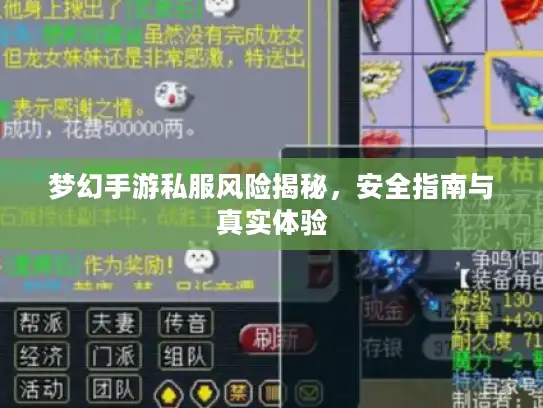 梦幻手游私服风险揭秘，安全指南与真实体验
