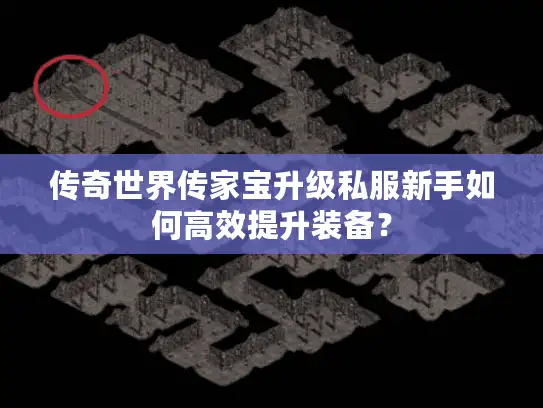 传奇世界传家宝升级私服新手如何高效提升装备？